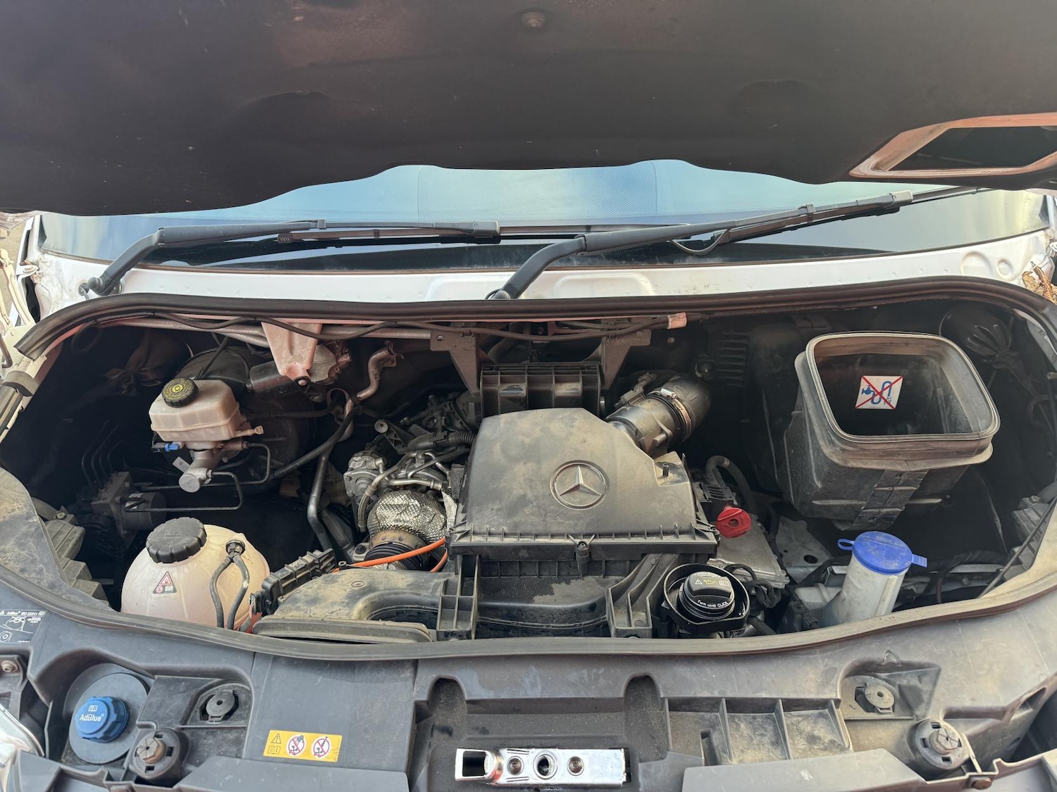 Used Mercedes-Benz Sprinter 2022 for sale - 78090901: Photo 53