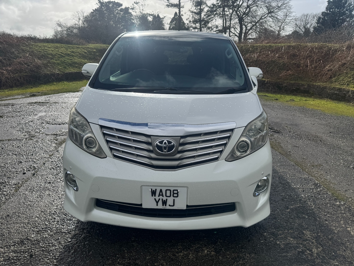 Used Toyota Alphard 2025 for sale - 77584879: Photo 21