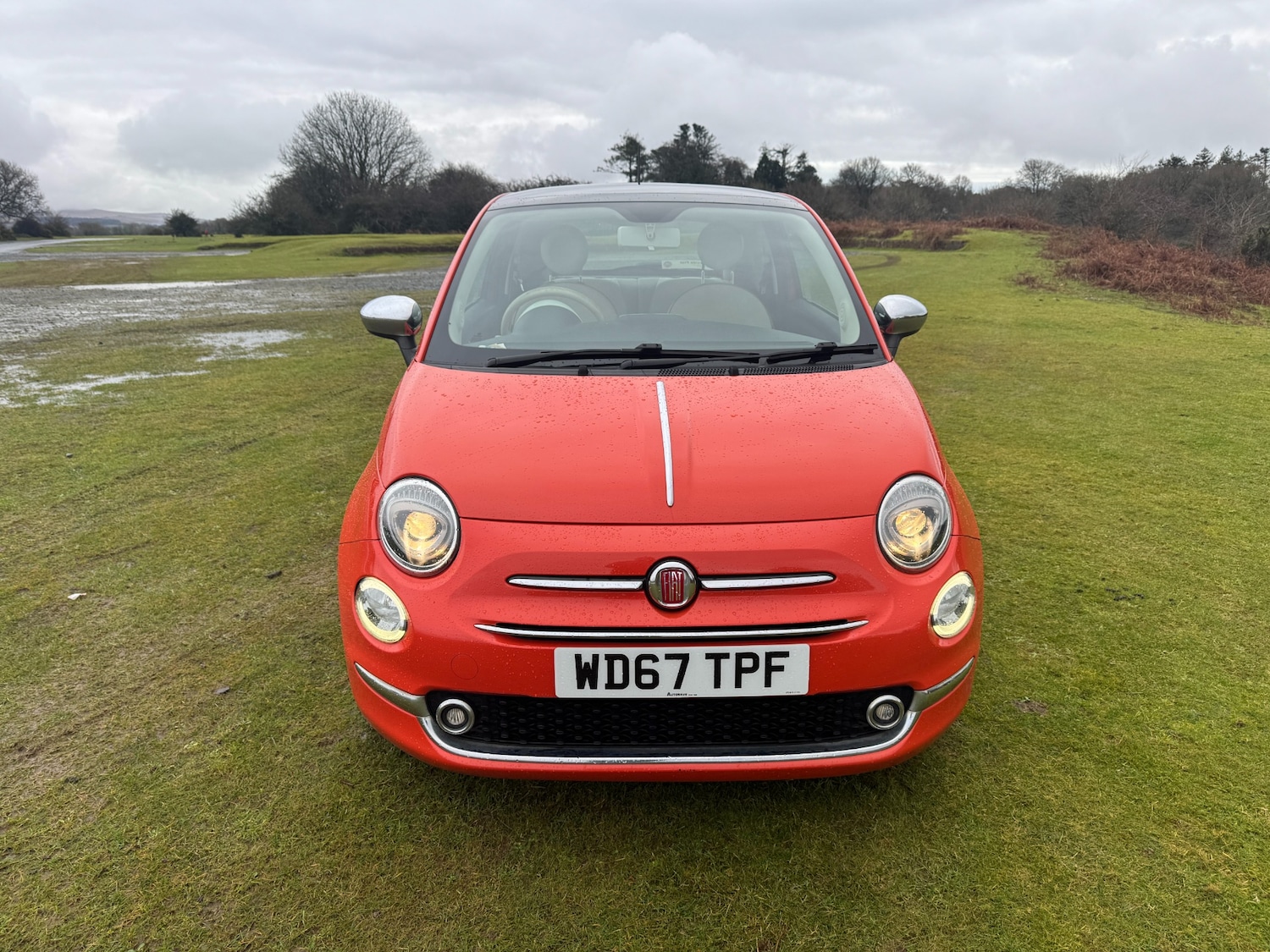 Used Fiat 500 2017 for sale - 77483246: Photo 3