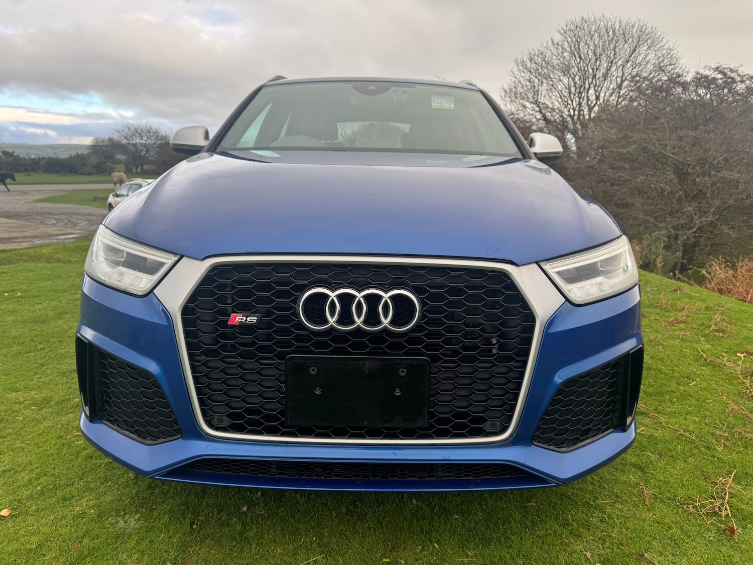 Used Audi RS Q3 2015 for sale - 77584779: Photo 11