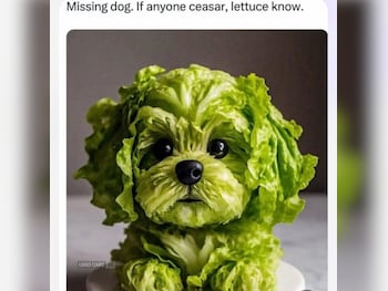 Ford C-Max feature image