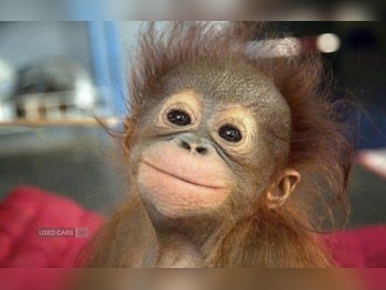 Renault Captur feature image