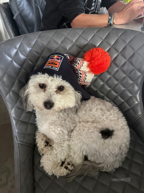 Used Skoda Yeti 2015 for sale - 77659447: Photo 1