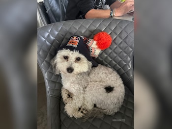 Skoda Yeti feature image