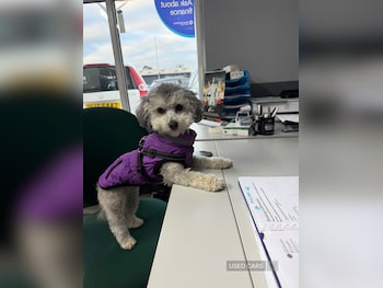 Used Vauxhall Corsa 2013 for sale - 78035447: Photo