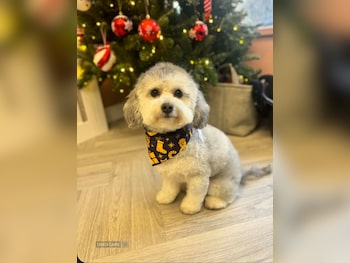 2015 - 1.0 VTi Feel 3dr