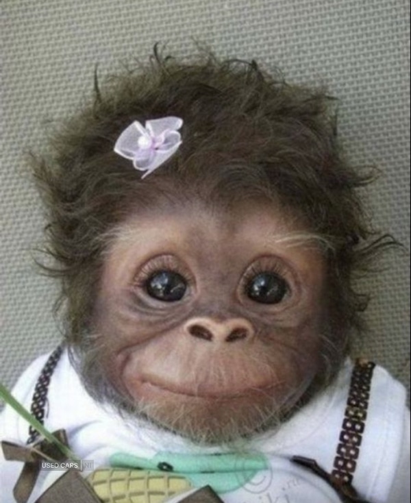 Used Renault Clio 2018 for sale - 77306585: Photo 1