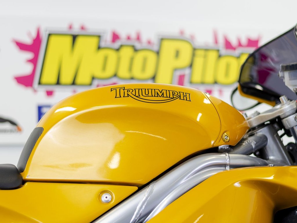 Triumph T 595 DAYTONA