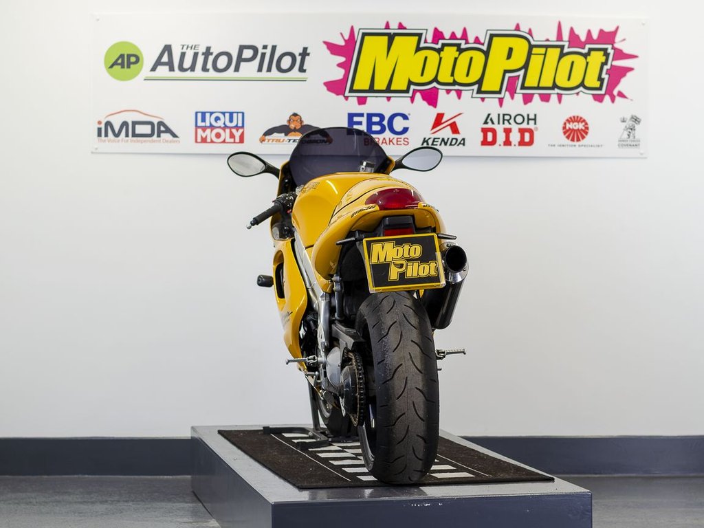 Triumph T 595 DAYTONA