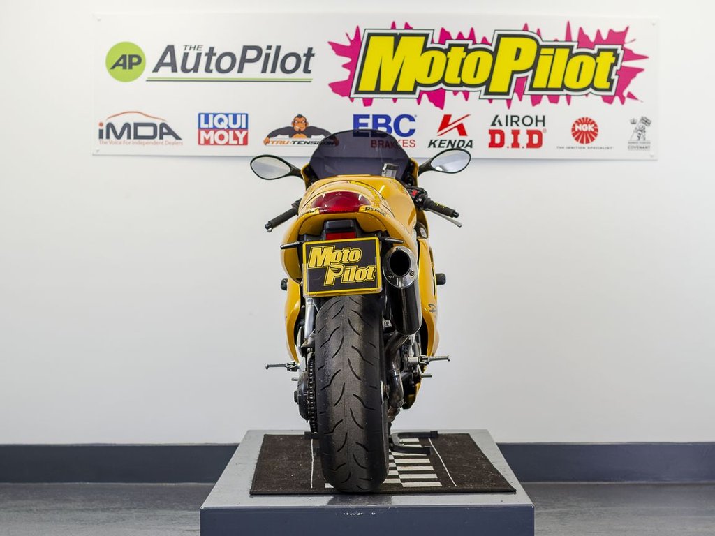 Triumph T 595 DAYTONA