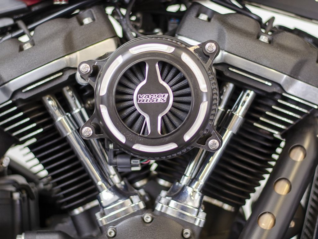 Harley-Davidson SOFTAIL