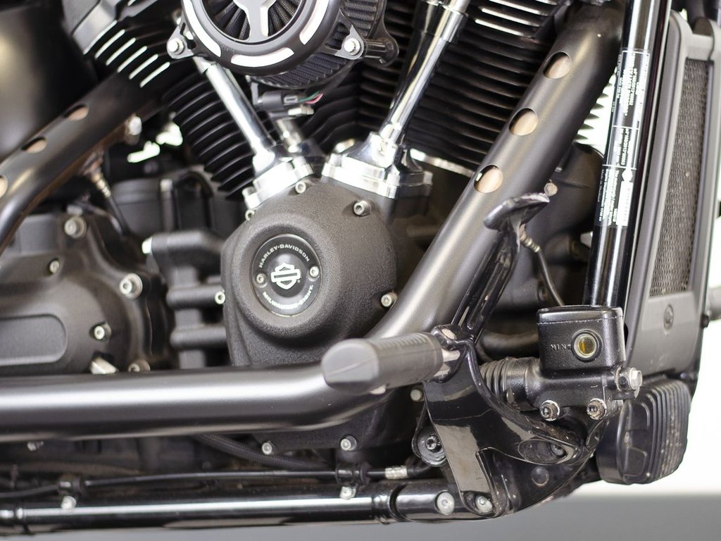 Harley-Davidson SOFTAIL