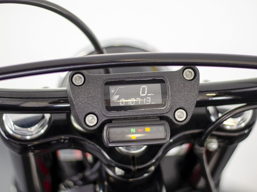 Harley-Davidson SOFTAIL