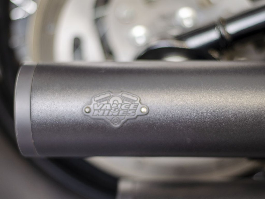 Harley-Davidson SOFTAIL