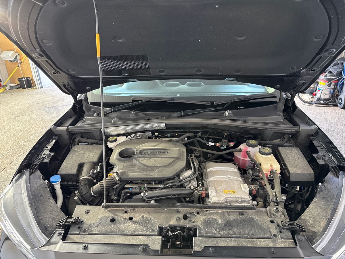 Used MG MG ZS 2024 for sale - 77979075: Photo 33