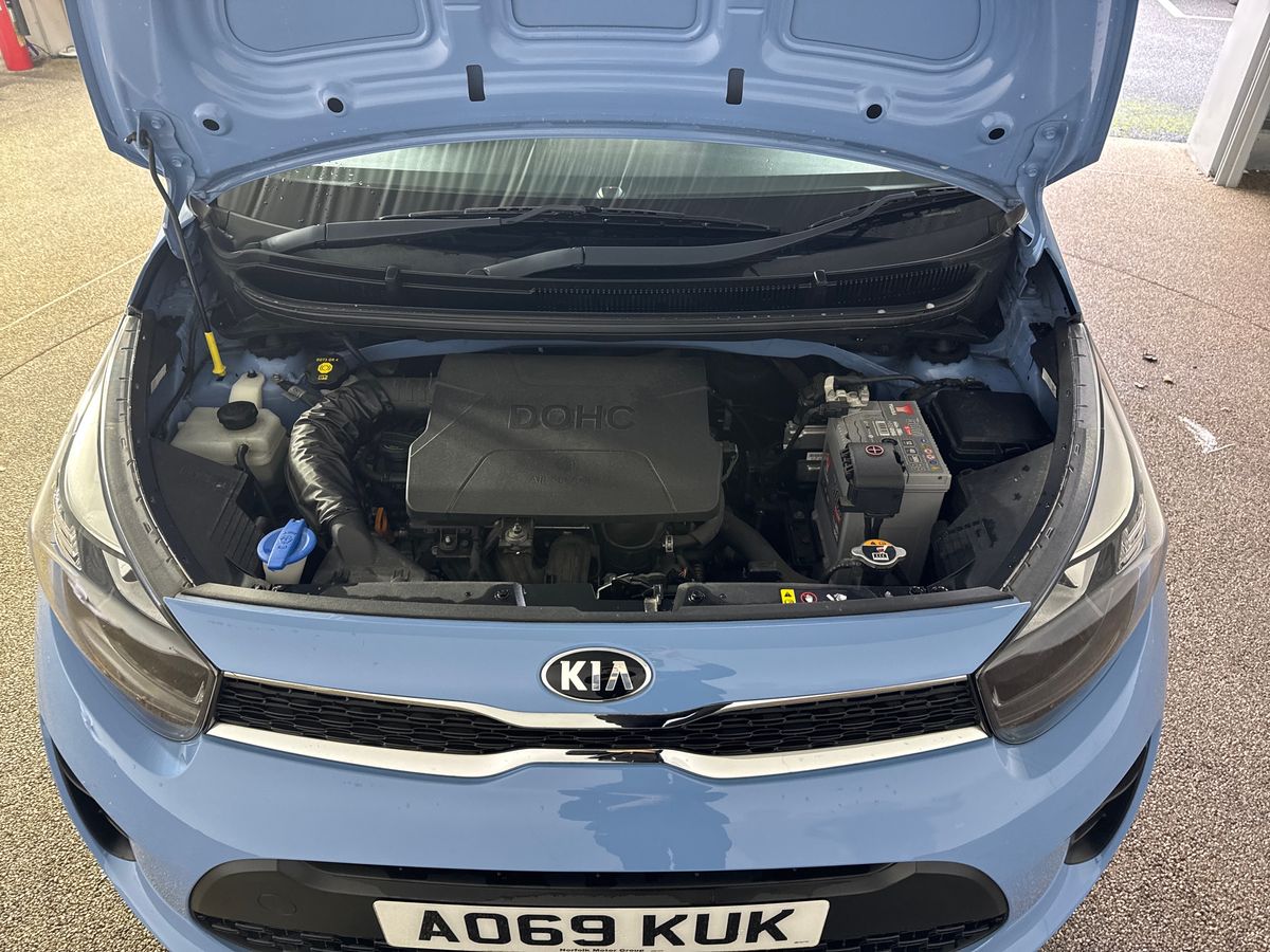 Used Kia Picanto 2019 for sale - 76602943: Photo 33