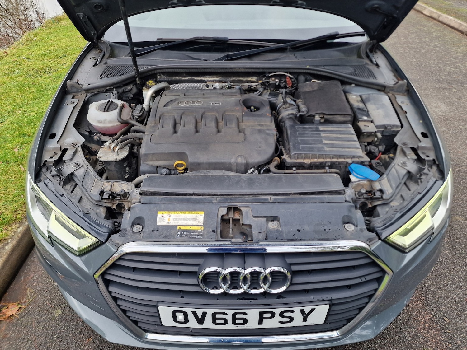 Used Audi A3 2016 for sale - 77483716: Photo 6