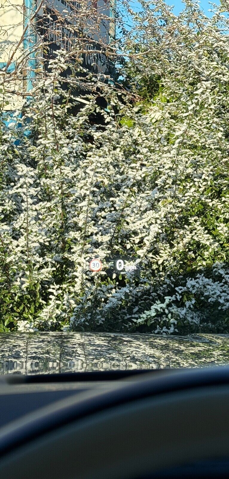 Used Land Rover Range Rover 2022 for sale - 77512557: Photo 35