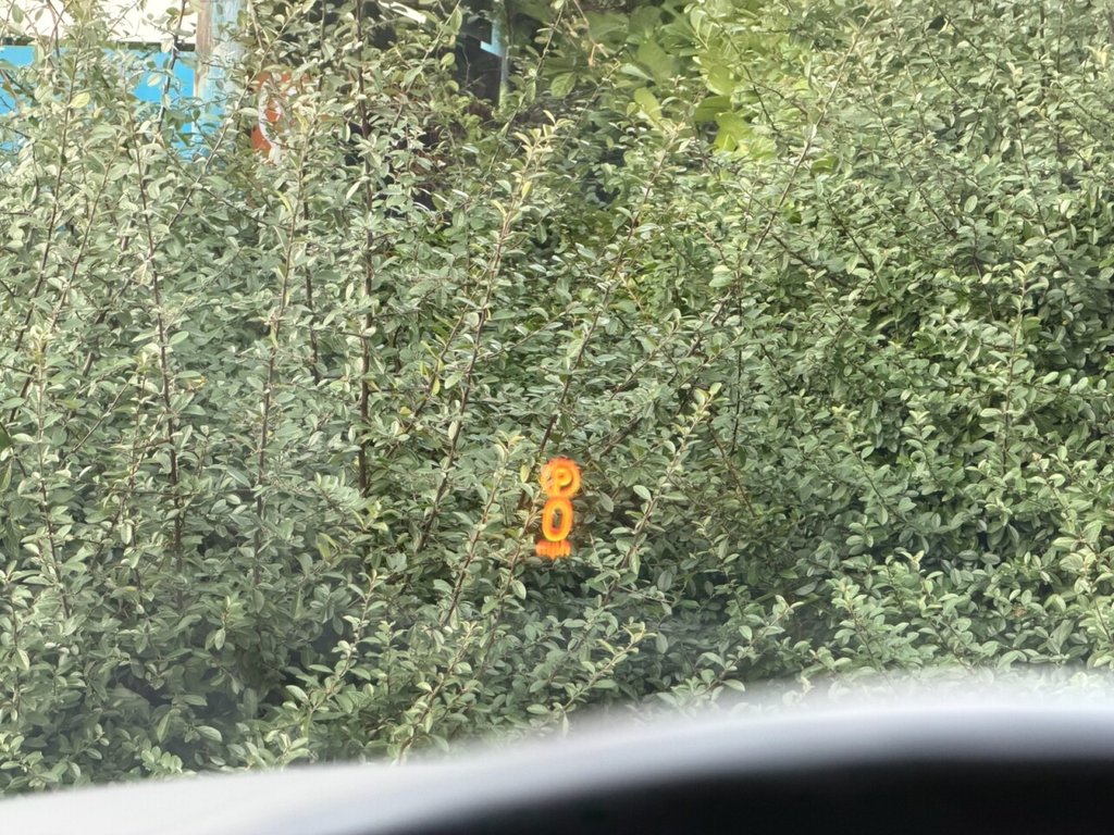 Used Land Rover Range Rover Sport 2017 for sale - 77275758: Photo 32