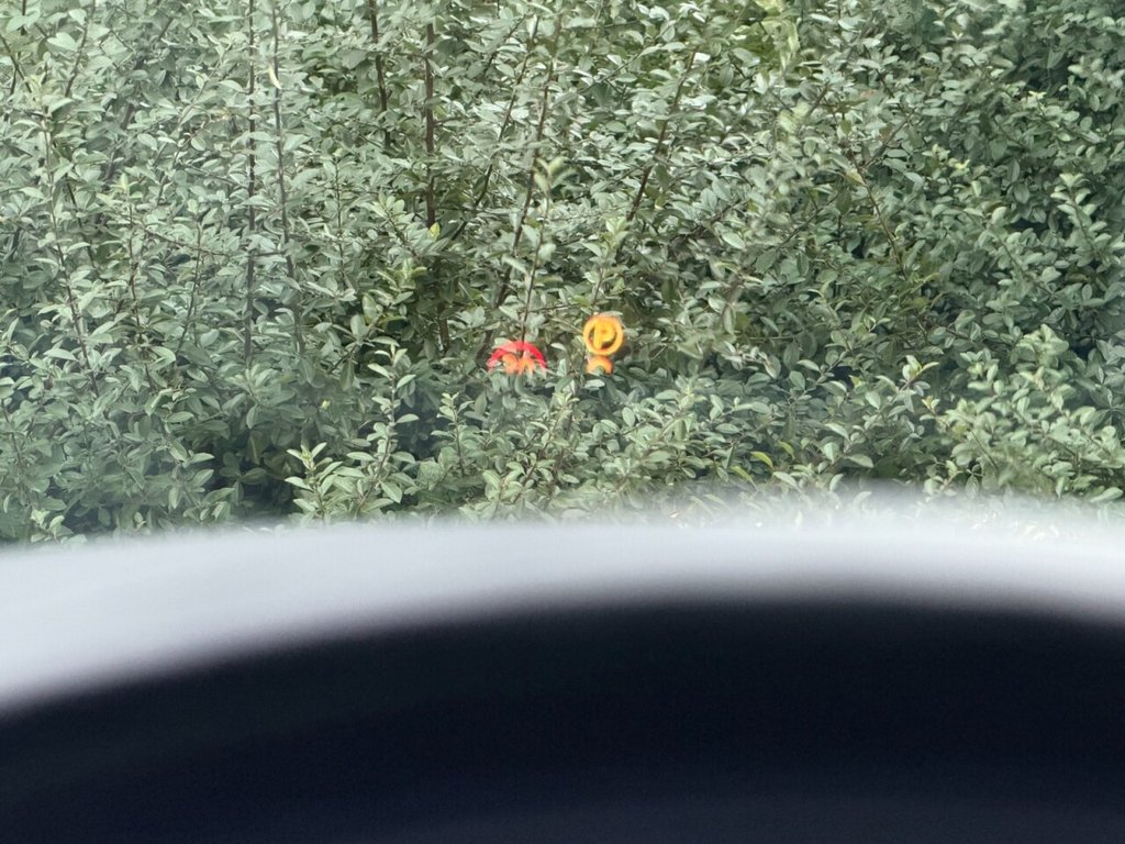 Used Land Rover Range Rover Sport 2017 for sale - 76985946: Photo 39