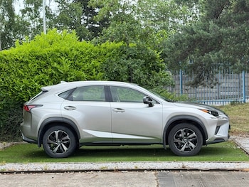 Used Lexus NX 2019 for sale - 78793083: Photo