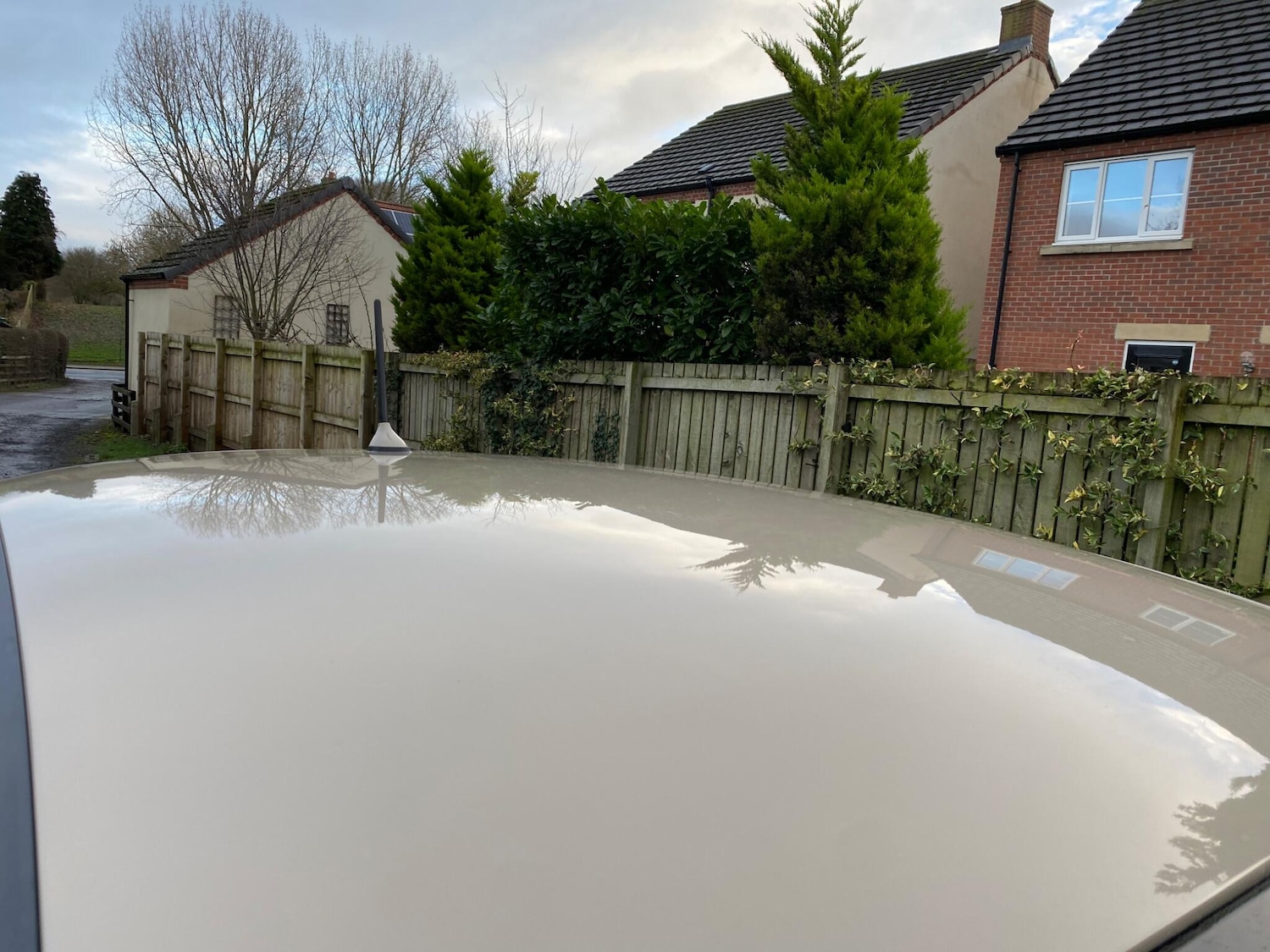 Used Fiat 500 2013 for sale - 76966891: Photo 3