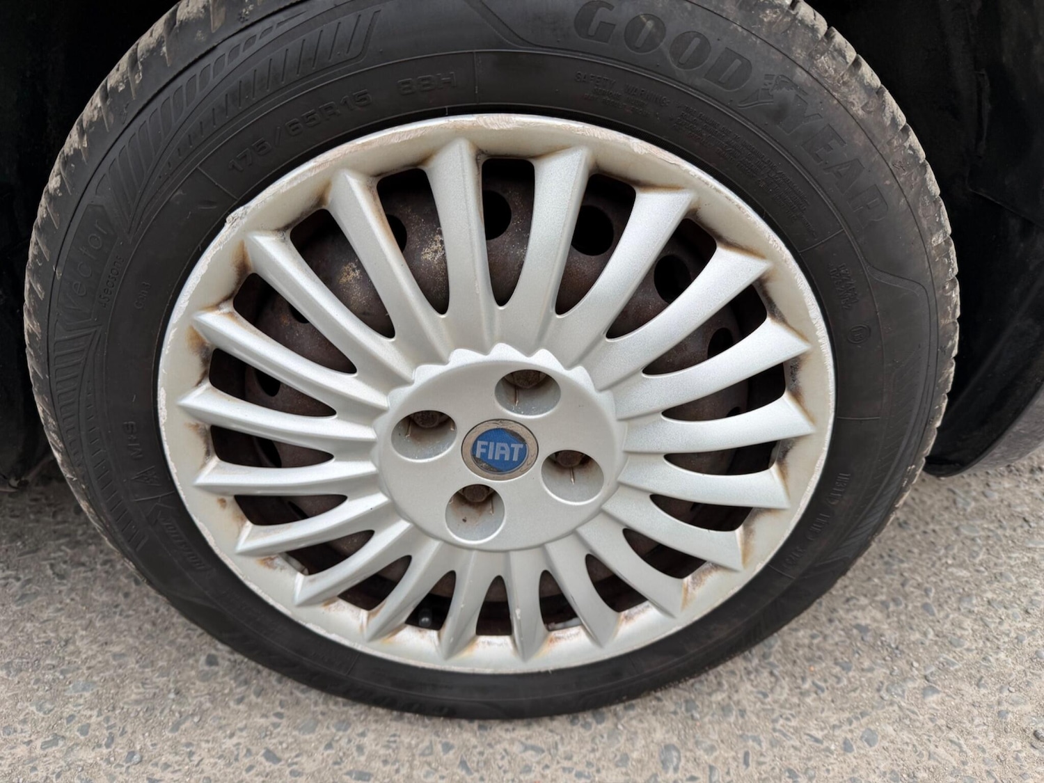 Used Fiat Punto 2013 for sale - 77802551: Photo 12