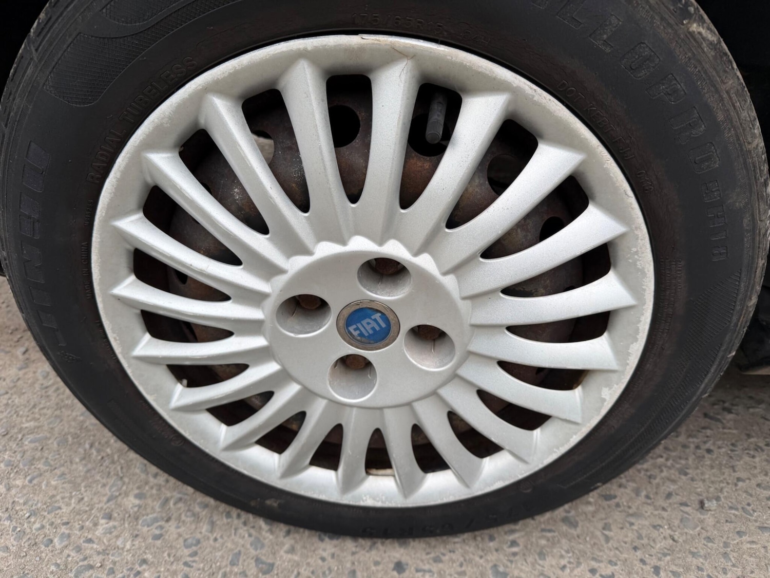 Used Fiat Punto 2013 for sale - 77802551: Photo 13