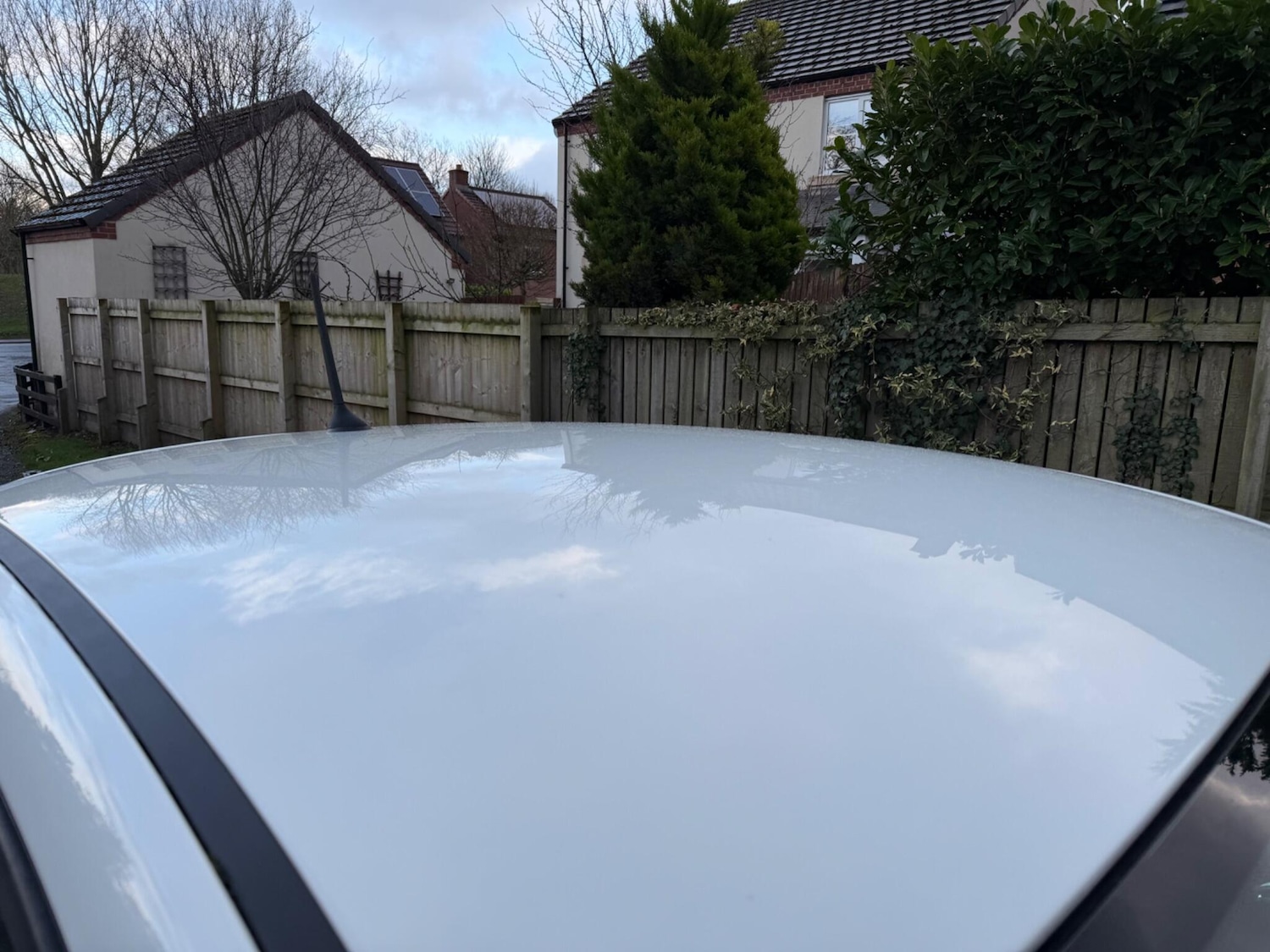 Used Fiat 500 2013 for sale - 77764242: Photo 2