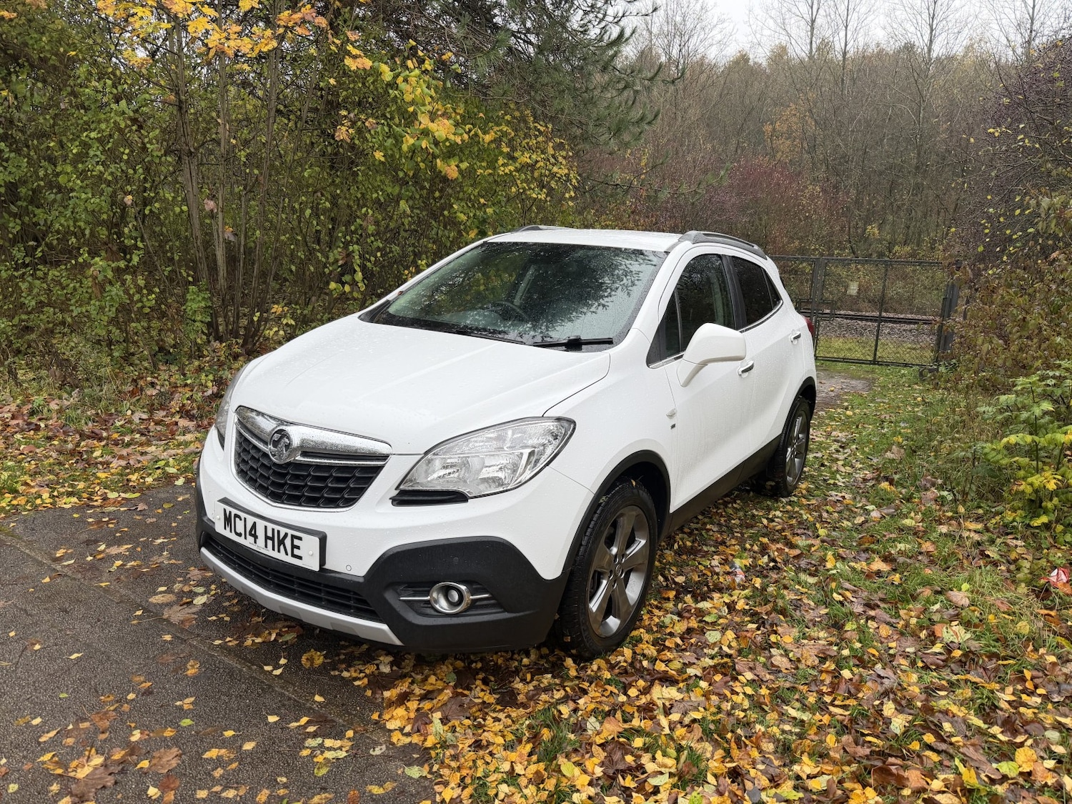 Used Vauxhall Mokka 2014 for sale - 76643396: Photo 1