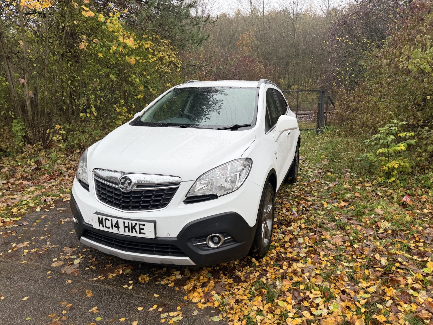 Used Vauxhall Mokka 2014 for sale - 76643396: Photo 2