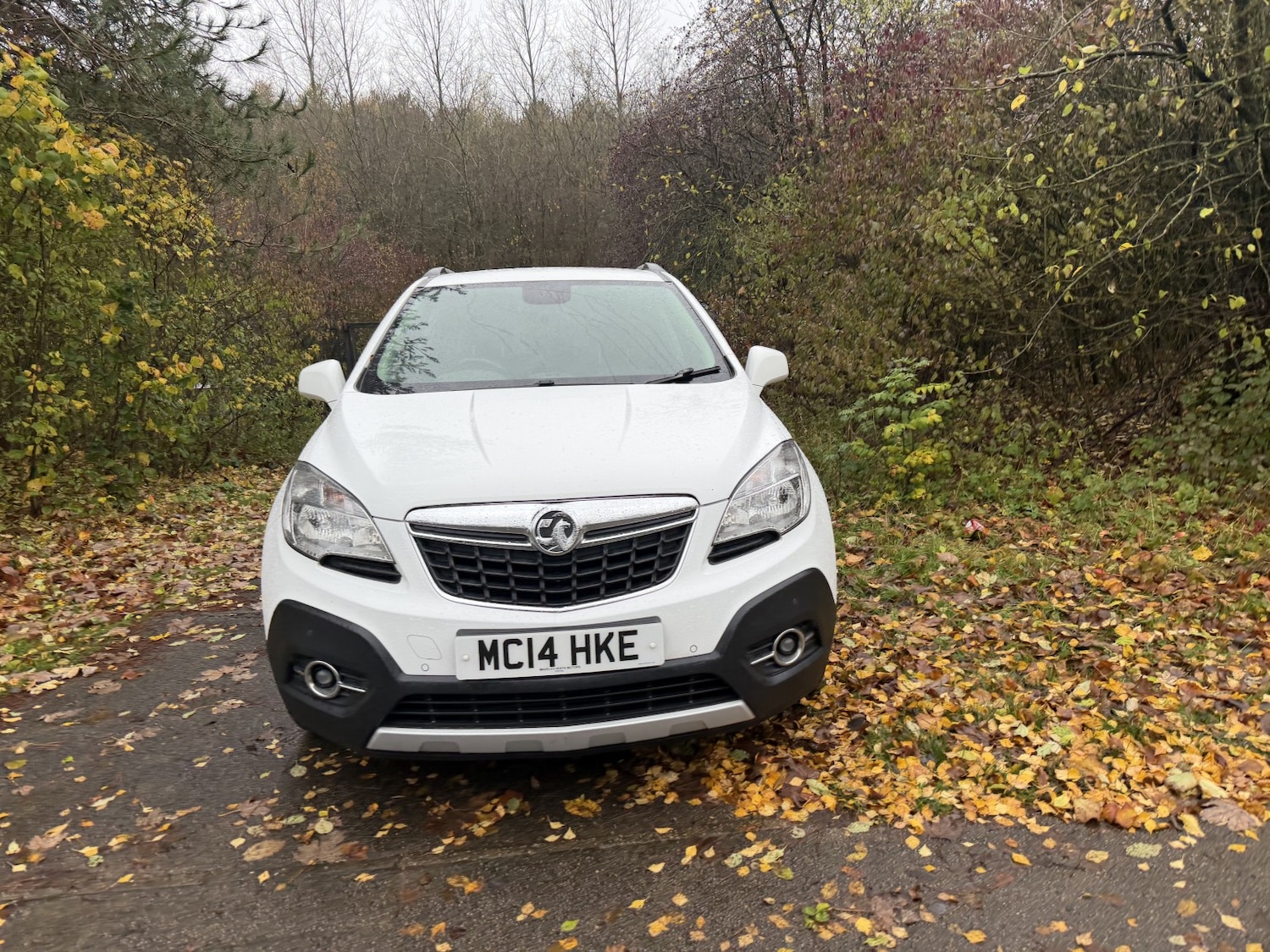 Used Vauxhall Mokka 2014 for sale - 76643396: Photo 3
