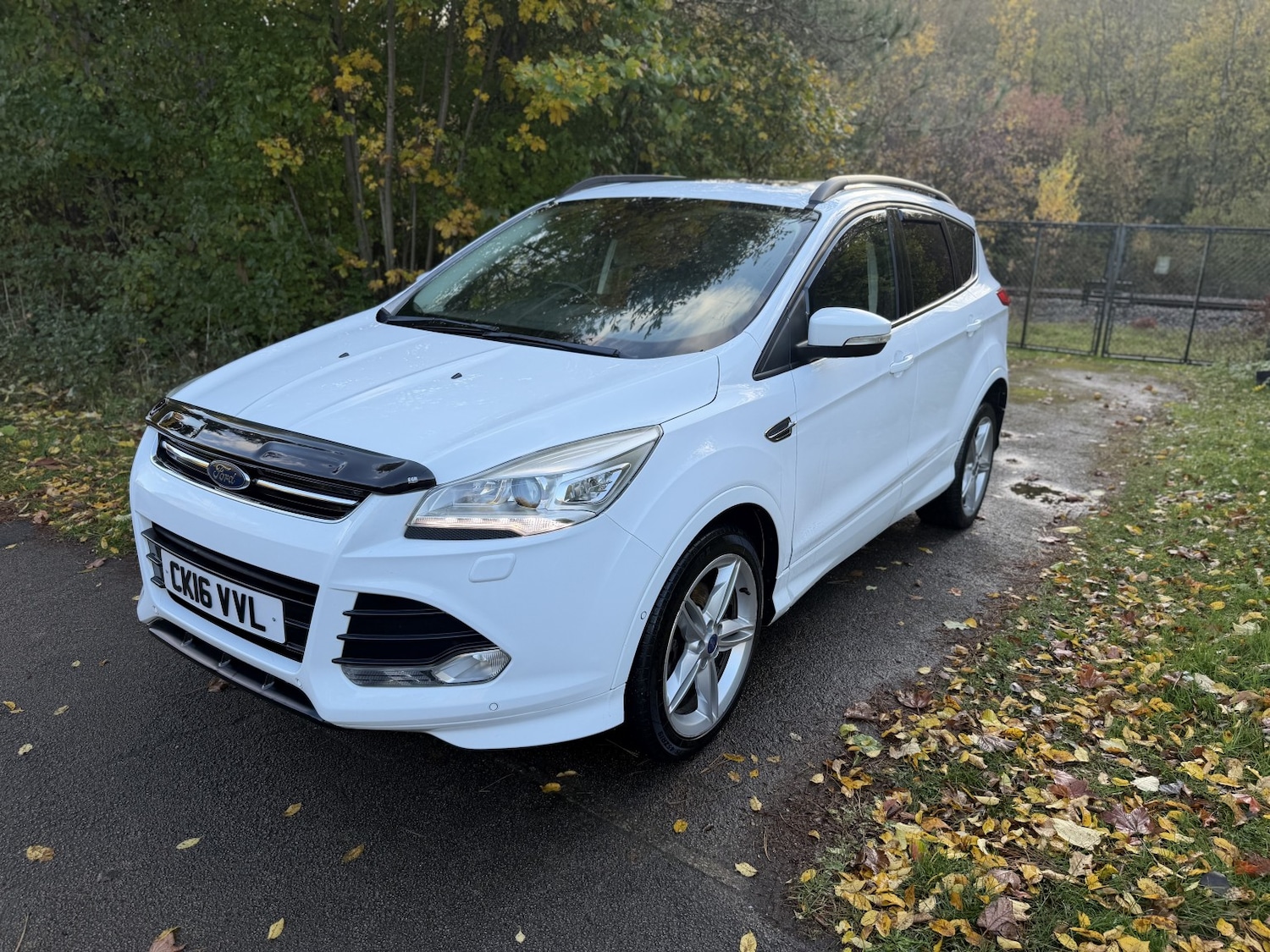 Used Ford Kuga 2016 for sale - 76643334: Photo 1