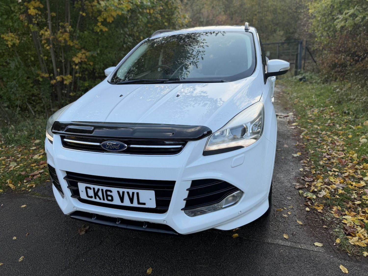 Used Ford Kuga 2016 for sale - 76643334: Photo 2