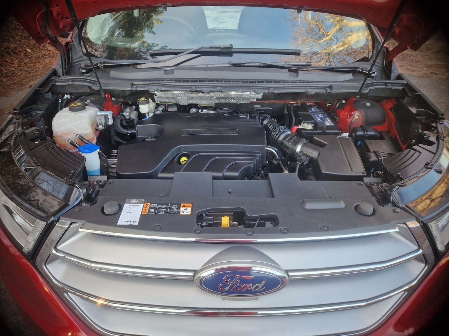 Used Ford Edge 2017 for sale - 76785057: Photo 11