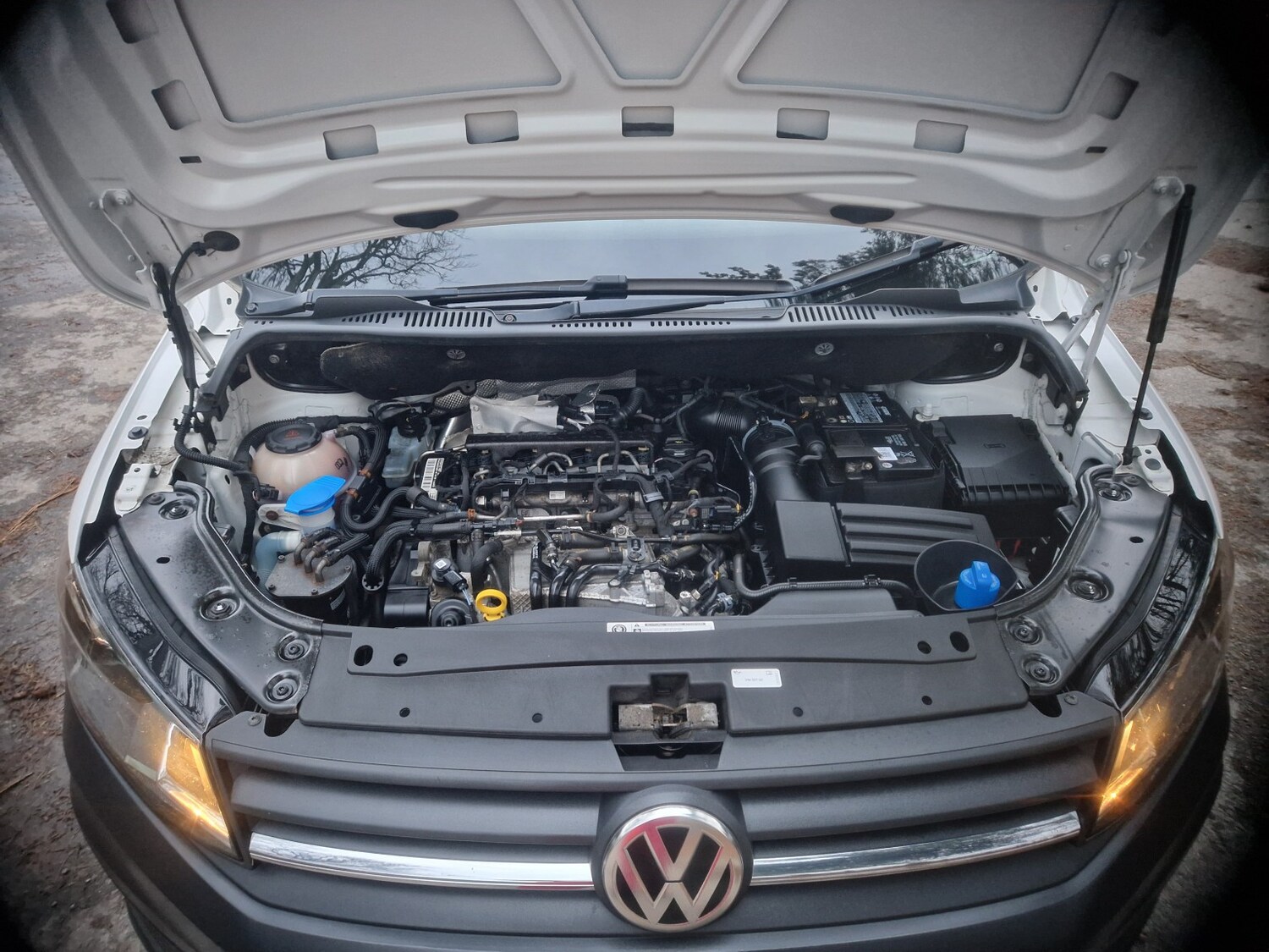 Used Volkswagen Caddy 2019 for sale - 76911016: Photo 9