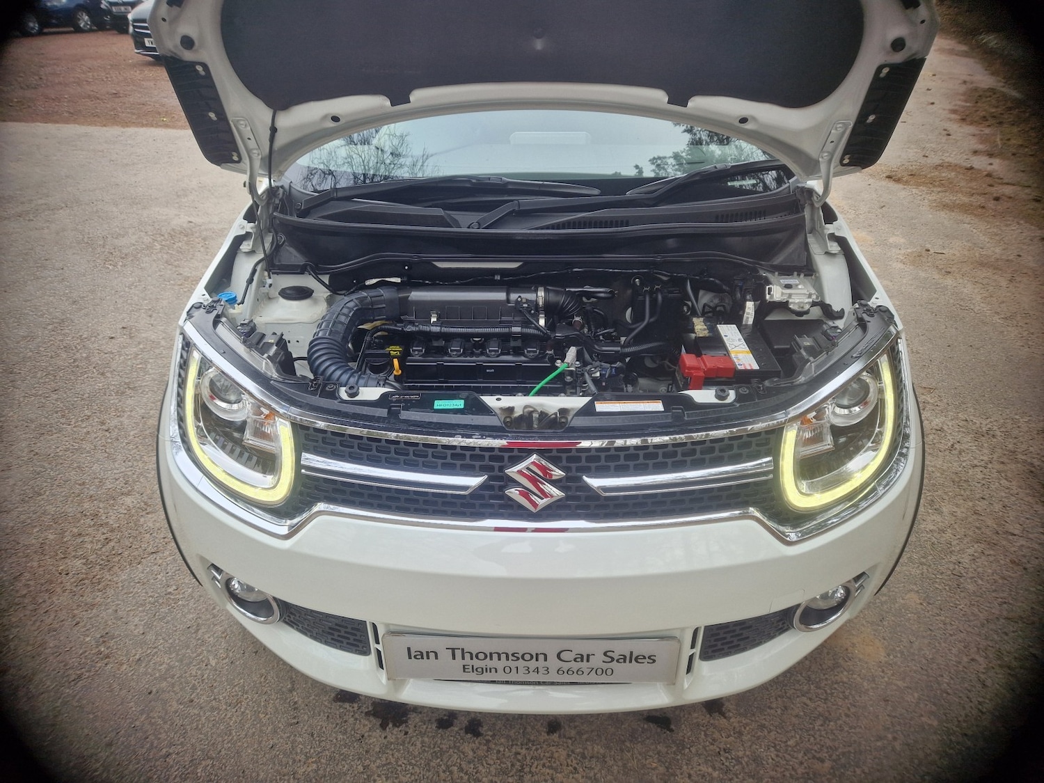 Used Suzuki Ignis 2017 for sale - 78031669: Photo 11