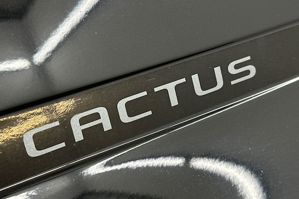 Used Citroen C4 Cactus 2019 for sale - 76264301: Photo 18
