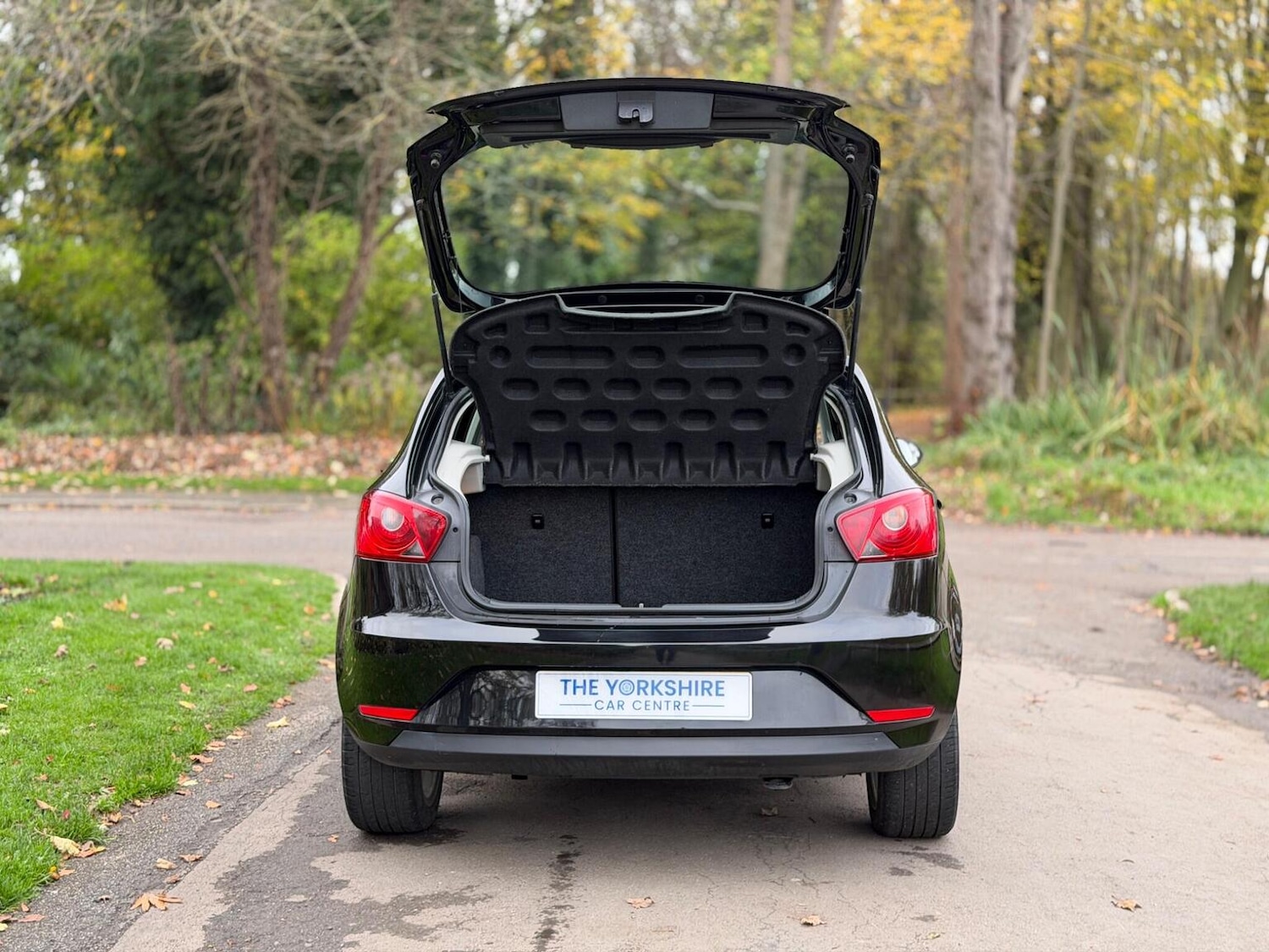 Used SEAT Ibiza 2013 for sale - 76631455: Photo 9