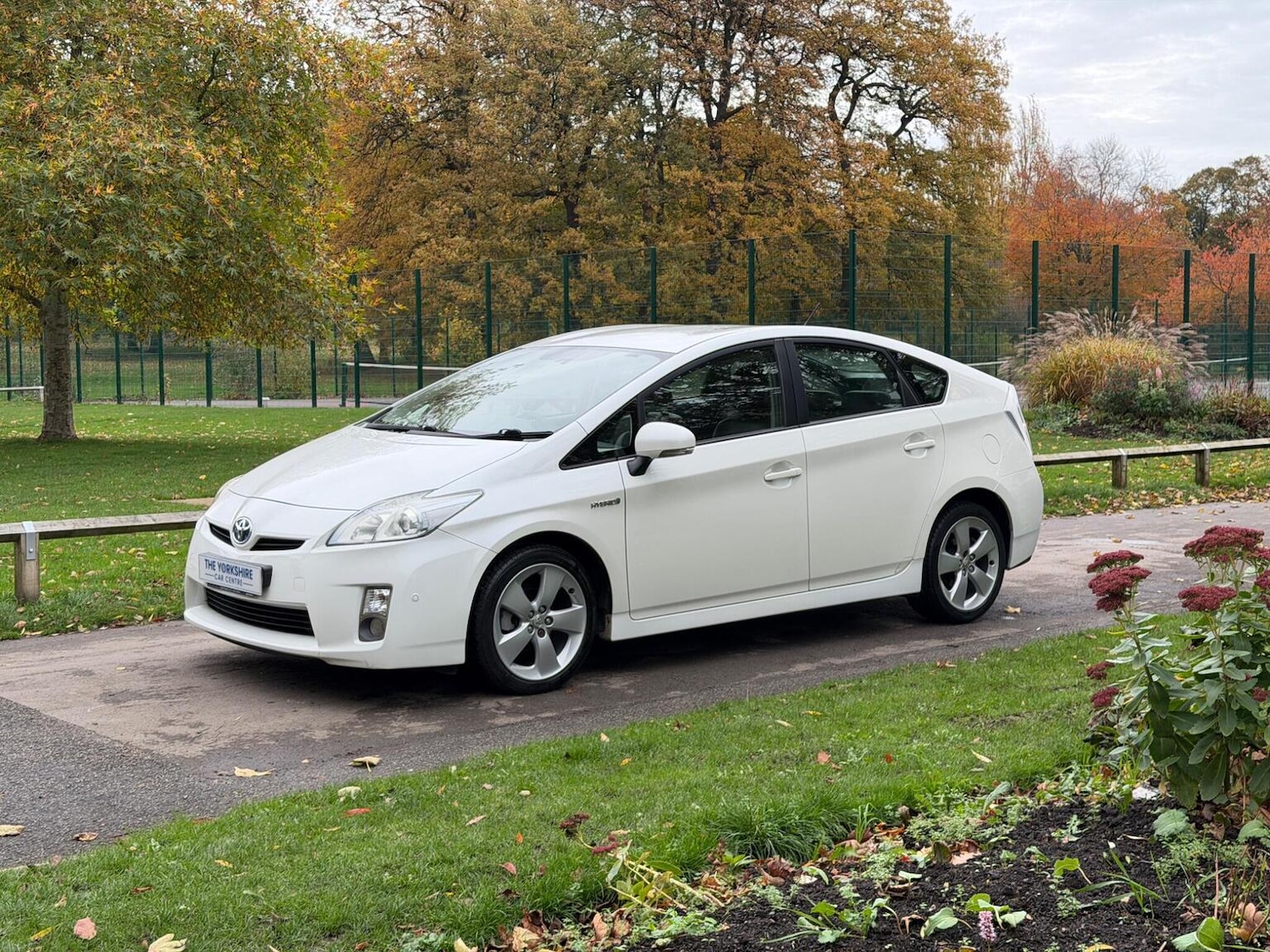 Used Toyota Prius 2009 for sale - 76631516: Photo 3