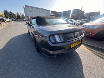 Used Ford Mustang 2017 for sale - 77872964: Photo