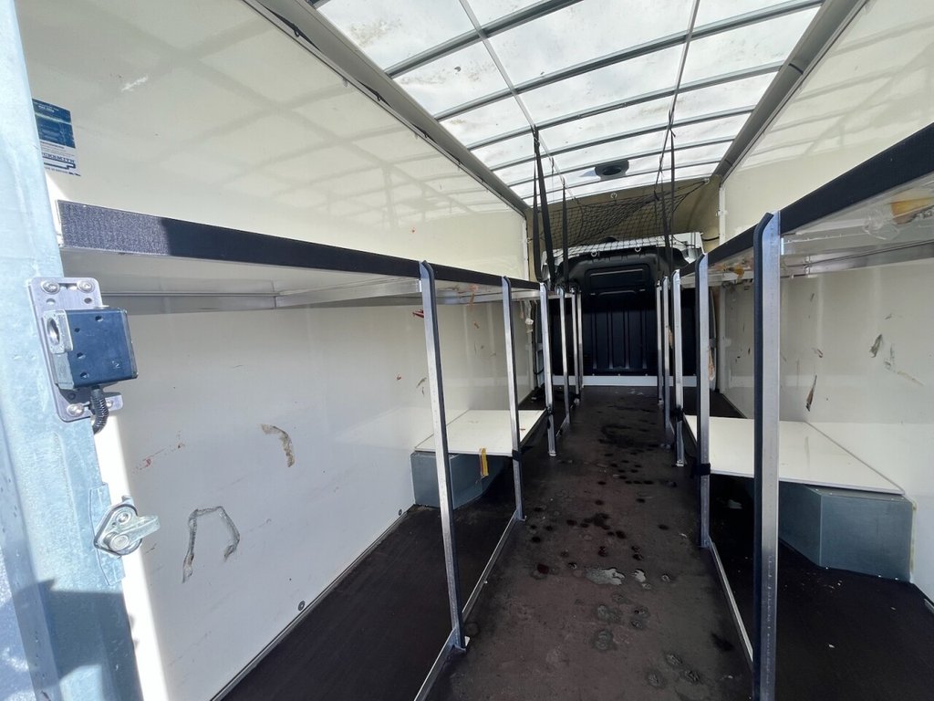 Used Renault Master 2023 for sale - 77328151: Photo 17