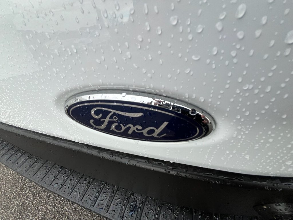 Used Ford Transit 2023 for sale - 76654804: Photo 10