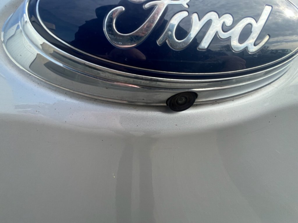 Used Ford Ranger 2023 for sale - 77734109: Photo 15