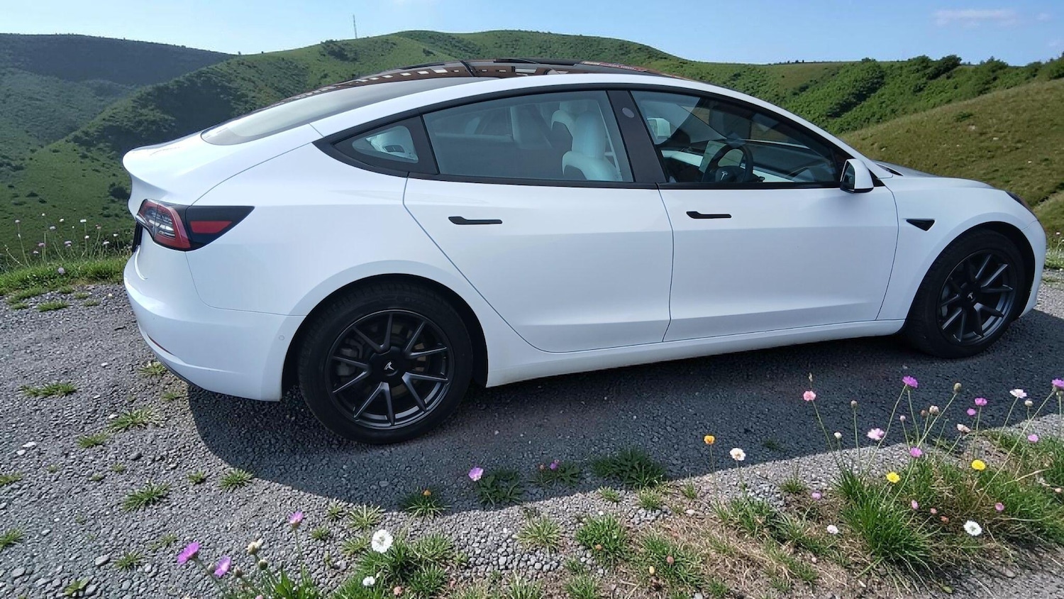 Used Tesla Model 3 for sale - 78219927: Photo 5