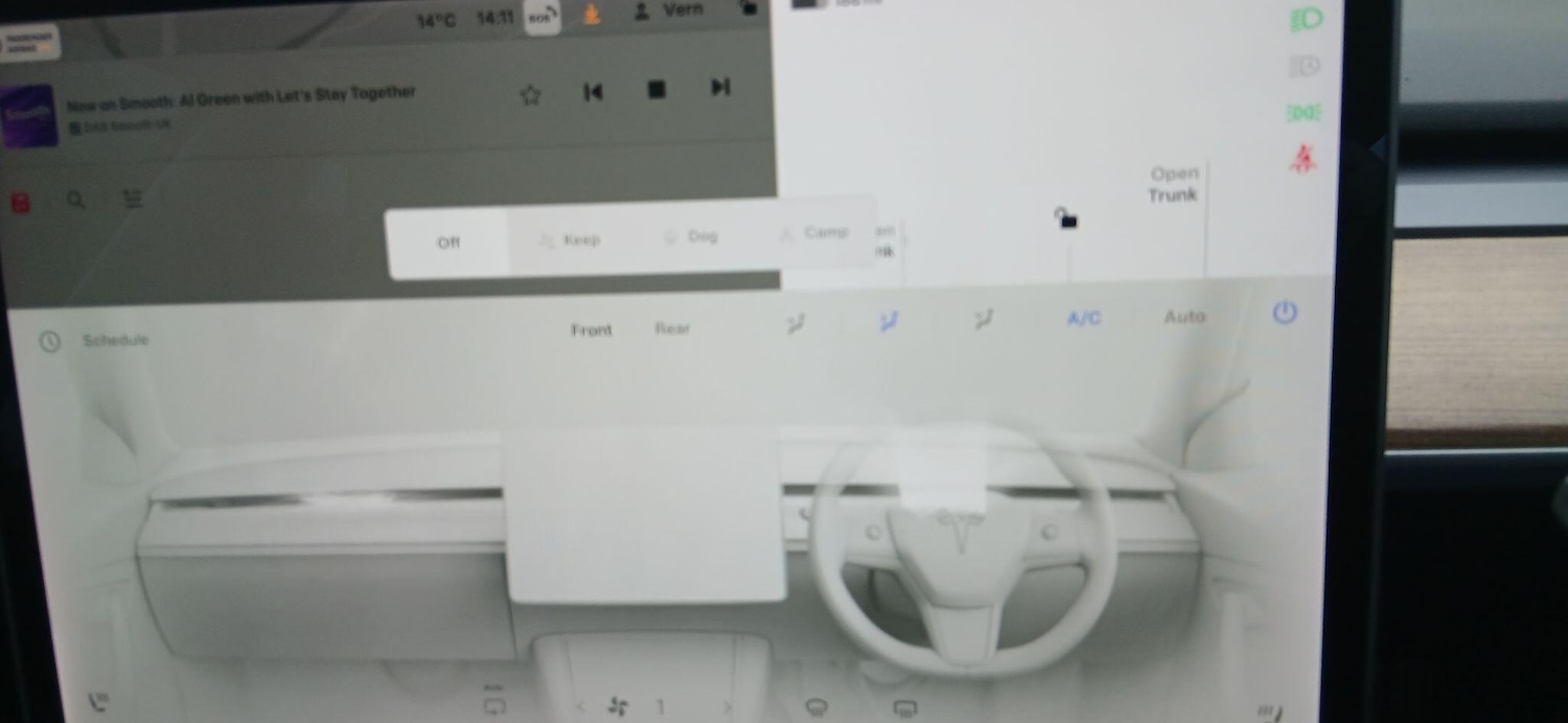 Used Tesla Model 3 2021 for sale - 76174736: Photo 51