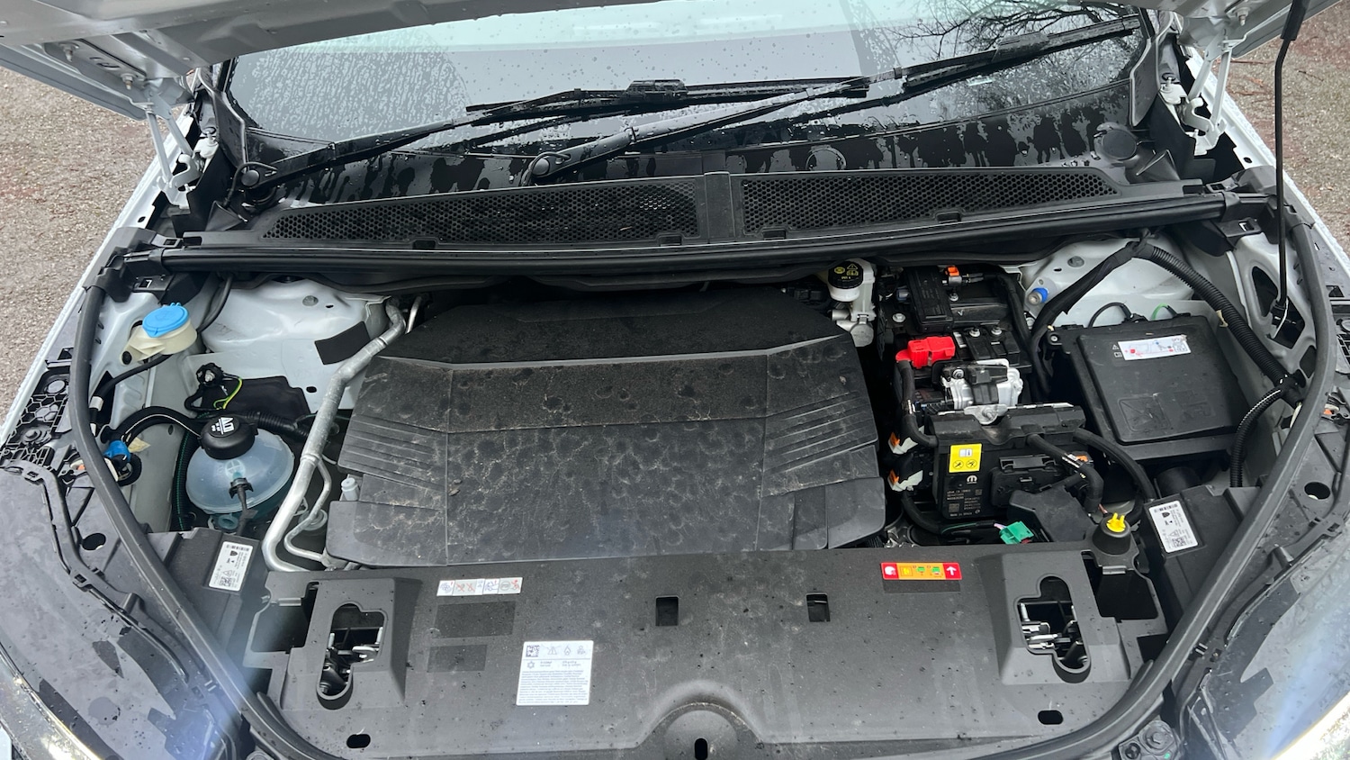 Used Peugeot 3008 2025 for sale - 77427085: Photo 18