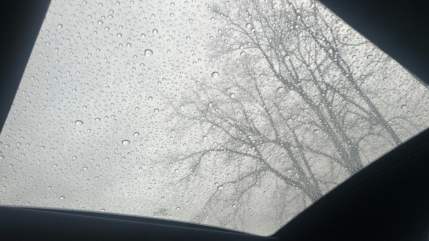 Used Ford Puma 2023 for sale - 76754122: Photo 46