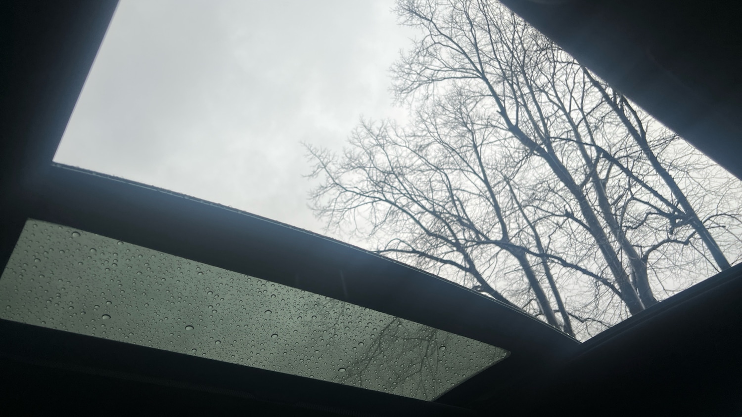 Used Ford Puma 2023 for sale - 76754122: Photo 47