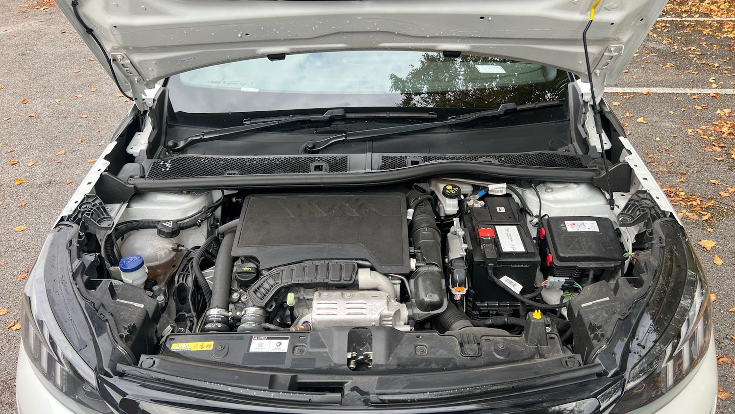 Used Peugeot 2008 2023 for sale - 76139388: Photo 18